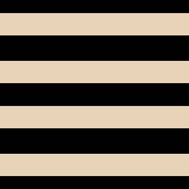 Black Gold Stripe