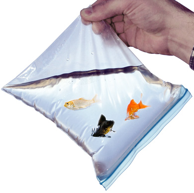 3mil Zip Style Leakproof Bag
