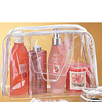 Clear Vinyl Security Purse w/Sewn Seams and PVC Handles