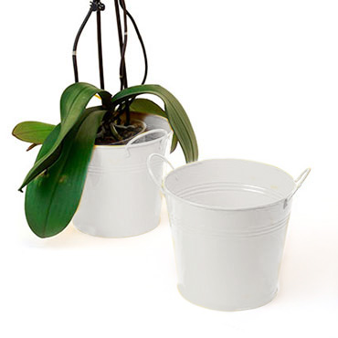 6 1/2in. White Painted Pail w/Side Handles