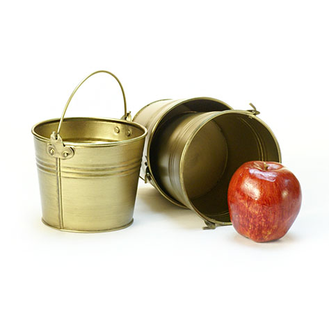 5 in. Round Gold Painted Handle Pail