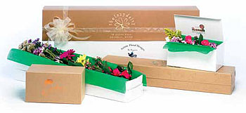 Flower Boxes