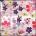 PET Clear Floral Print Puff Pouch