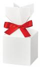 Cinch-Gift-Boxes